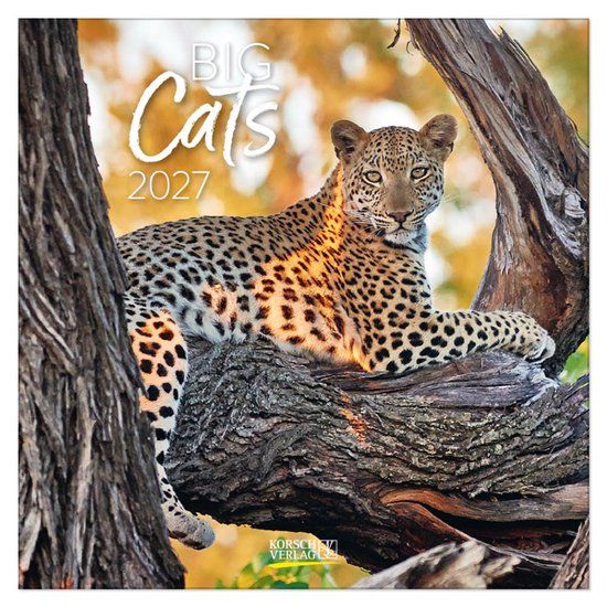 Korsch Verlag Big Cats Kalender 2027