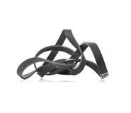 CONTITECH V-ribband, 6PK1830