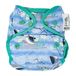 Close Pop-in Enkele Gedrukt Alle Popper Luier Blauw Puffin Kleur Milieuvriendelijke Herbruikbare Doek Luiers Geboorte tot Potty Bamboe Close Parent