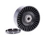 INA 531 0729 10 spanrol, V-ribriem