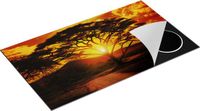 Chefcare Inductie Beschermer Zonsondergang Achter een Savanne Boom - 89,6x51,6 cm - Multicolor