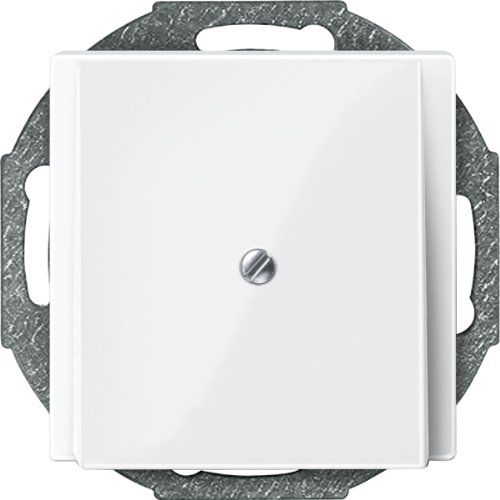 Merten 1329502 centrale plaat 296319 polarwit glanzend systeem M