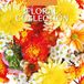Red Robin Floral Collection Kalender 2027 Wandkalender