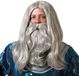 Atosa Verkleedpruik met baard - heren - grijs - Middeleeuwen/tovenaar/oude man - Carnaval - lang haar