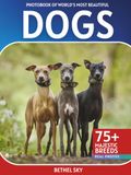Dogs Photobook: A Stunning Visual Journey Through the World's Most Beautiful Dogs