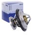 MAHLE TX 29 85D koelwaterthermostaat