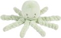 Nattou Lapidou Doudou Knuffel Octopus - 22 cm - Lindegroen