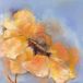 Your Decoration B.V. Kunstdruk Elena Filatov - Bright Anemone II 50x50cm