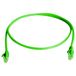 Telegärtner 100008318 Câble réseau RJ45, câble de brassage CAT 6 2,0 m Vert Ignifuge, avec passe-câble anti-pli 1 pièce(s)