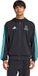 Adidas Performance Mercedes - AMG Petronas Formula 1 Team DNA Hoodie Heren Zwart M