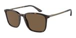 GIORGIO ARMANI 0AR8197 heren zonnebril