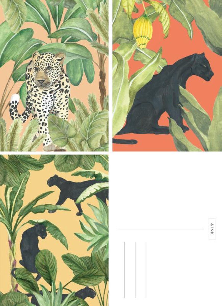 A-Journal &INK Kaartenset 15x Panter - 8719325945461