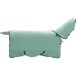 Icecat Couverture Équine Verte Spéciale Polyester