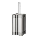 RIEGLER 155918-15.AMI.25005 Compacte tyl, eenvoudig werkend, IG, uitf, Ø25, Hub5, M5, ISO21287, 1 stuk