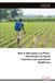Role Eliva Press Role of Siderophores in Plants Paperback