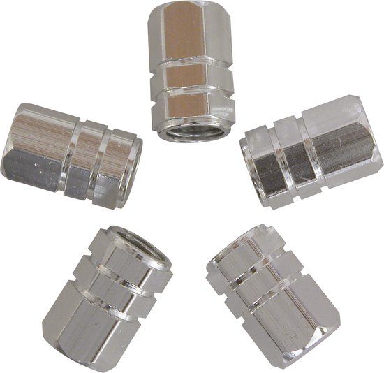 Carpoint Ventieldopjes Zuiger Zilver 5 Stuks