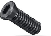 Fein Klemschroef SX (10 stuks) 31350076000