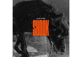 Algiers - Shook - LP