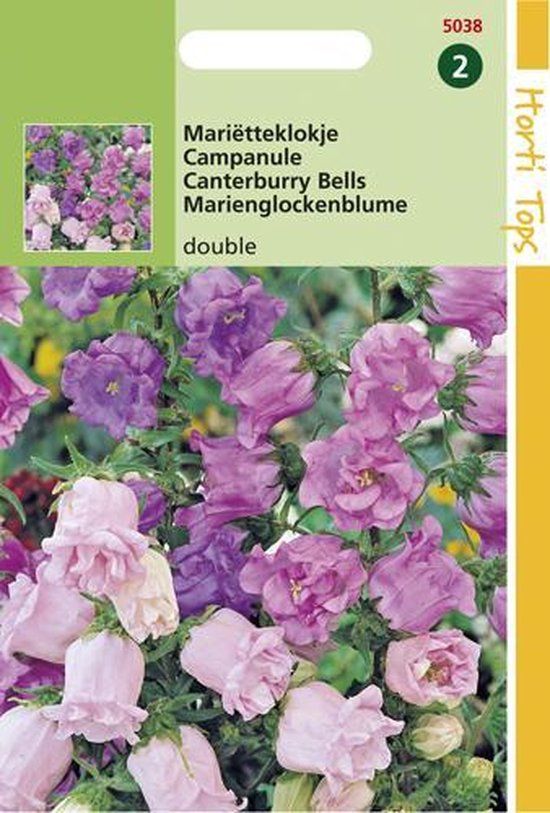 Hortitops Zaden - Campanula Medium Calycanthema - Gemengd
