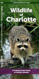 Wildlife Urban Wildlife: Wildlife of Charlotte