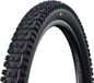SCHWALBE Albert Gravity Pro, TLR