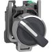 Schneider Electric sélecteur XB4BD415 IP66