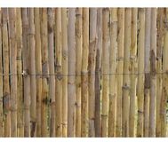Nature Rietmat Premium Kwaliteit 3 x 1 meter