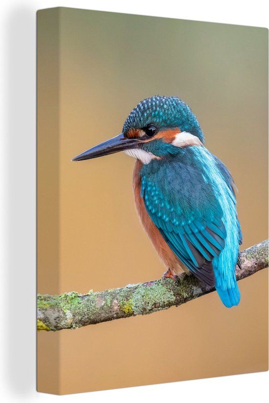 OneMillionCanvasses Canvas schilderij 120x160 cm - IJsvogel - Multicolor - Modern