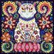 Diamantmozaïek Chat en focus, 30x30 cm