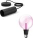 Philips Hue Lightguide Hanglamp (Noir) - E27 - Lumière blanche et colorée - Incl. 1 ampoule Hue Lightguide Globe Grande (G125) - Hue White and Color Ambiance