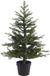 Everlands Grandis sapin de Noël artificiel pré-illuminé d63h90 cm80l vert Noël