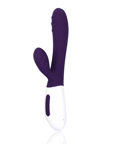 Willie Toys Duo Vibrator - Paars - 8718801921456
