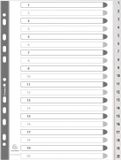 Exacompta Tabbladen met bedrukte tabs in gerecycled PP - 20 tabs - 1 tot 20 - A4 - Grijs - 1721E