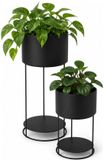 Home & Styling Plantenrek / plantenpotten verhogers set - zwart - metaal - 57 cm - 2 niveaus bloempotten - kamerplanten