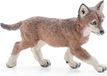 Papo - Realistische wolvenwelp figuur - 3 jaar en ouder - Wilde dieren collectie - Educatief spel jonge bosdieren - Cadeau-idee speelgoed voor meisjes en jongens