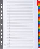 Exacompta 10x Tabbladen karton 160g - versterkte gekleurde tabs + inbdexblad - 31 tabs - A4 maxi - Wit - 4131E
