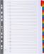 Exacompta 10x Tabbladen karton 160g - versterkte gekleurde tabs + inbdexblad - 31 tabs - A4 maxi - Wit - 4131E