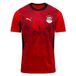 PUMA Égypte Maillot Domicile 2026/27 Enfant