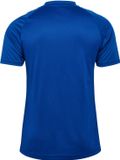 Hummel sportshirt Hmlmatch gestreept jersey S/S 233155