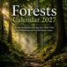 Forests Calendar 2027: 12 Months of Ancient Woodlands, Towering Trees, Misty Trails, Lush Wilderness, and Peaceful Nature Scenes