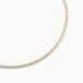 Collier Capucin Or Jaune Maille Marine Plate