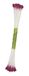 PME Meeldraden voor suiker bloemen medium effen paars (Pack van 50)