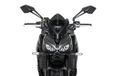 Puig 22776F Naked New Generation Sport, Donker Getint