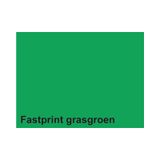 Fastprint Gekleurd Papier A 4 160 gr FP Grasgroen 250 vel