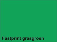 Fastprint Gekleurd Papier A 4 160 gr FP Grasgroen 250 vel