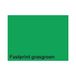 Fastprint Gekleurd Papier A 4 160 gr FP Grasgroen 250 vel