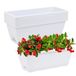 CHUKEMAOYI Vensterbak, plantenbak, kunststof, groente-bloemen-plantenbak, dozen, 43,2 cm, rechthoekige bloempotten met schoteltjes, voor binnen en buiten, tuin, terras, woondecoratie
