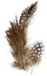 Creativ company CC Parelhoen Veren Natuur 100 stuks
