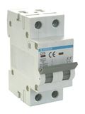 Magneetschakelaar, 2-polig, 25 A, 6 kA, klasse C, elektrische bescherming, gebruik in woon- en industriële installaties.