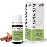 Pranarom Pranarôm Ceylon Kaneel Etherische Olie Organisch 5 ml